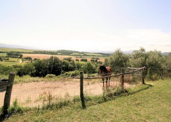 Foto 9 - Rustico Barberino di Mugello - foto 9