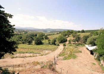 Foto 14 - Rustico Barberino di Mugello - foto 14