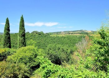 Foto 3 - Rustic Greve in Chianti - photo 3