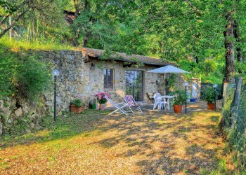 Foto 10 - Rustico Reggello - foto 10