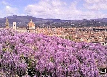 Foto 4 - Appartamento Firenze - foto 4