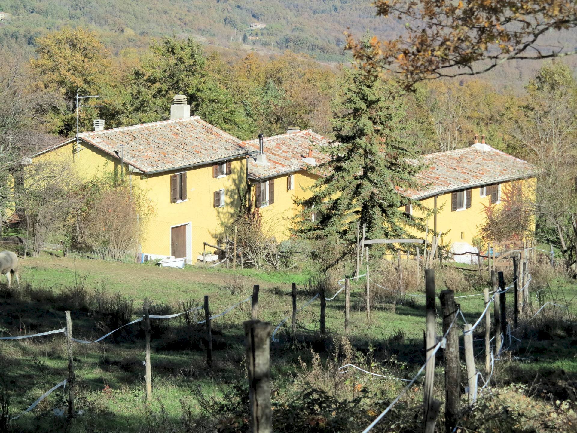 Foto 2 - Rustico Montieri - foto 2