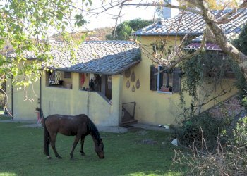 Foto 5 - Rustico Montieri - foto 5