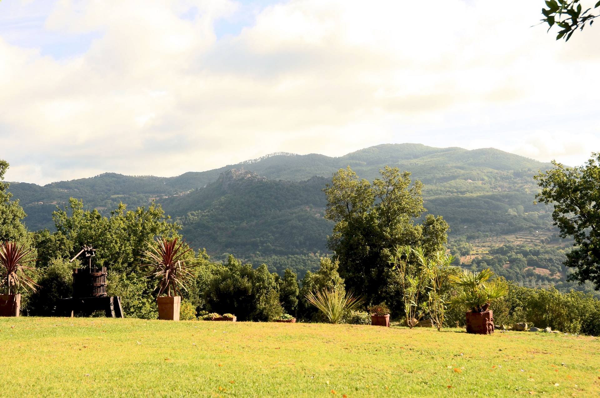 Foto 3 - Rustic Strada Provinciale Montemassi, Roccastrada - photo 3