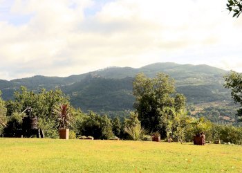 Foto 3 - Rustico Roccastrada - foto 3