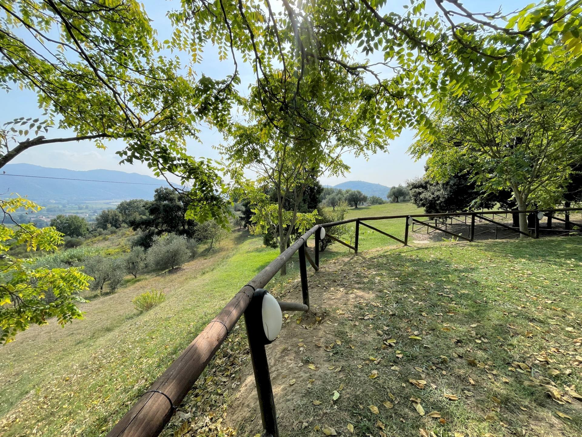 Foto 2 - Rustico Vecchiano - foto 2