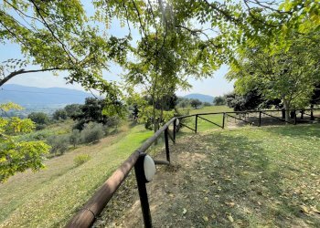 Foto 2 - Rustic Vecchiano - photo 2