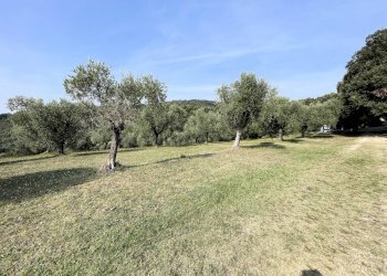 Foto 8 - Rustic Vecchiano - photo 8