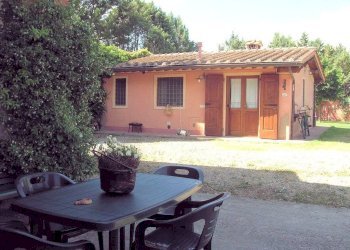 Foto 5 - Rustico Terranuova Bracciolini - foto 5