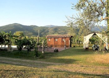 Foto 16 - Rustico Terranuova Bracciolini - foto 16