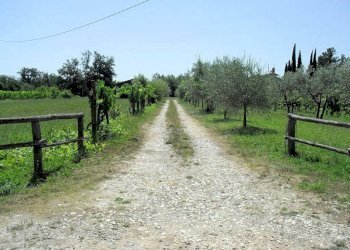 Foto 24 - Rustico Terranuova Bracciolini - foto 24