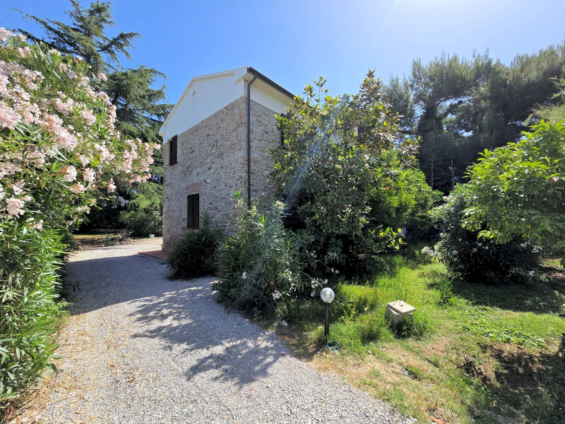 Foto 3 - Rustico Campiglia Marittima - foto 3