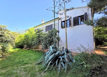 Foto 5 - Rustico Campiglia Marittima - foto 5