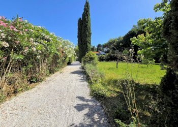 Foto 8 - Rustico Campiglia Marittima - foto 8