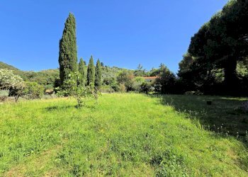 Foto 9 - Rustico Campiglia Marittima - foto 9