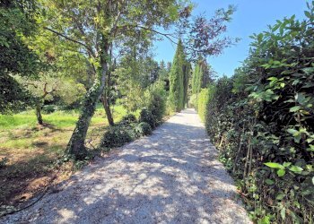 Foto 10 - Rustico Campiglia Marittima - foto 10