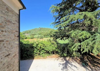 Foto 13 - Rustico Campiglia Marittima - foto 13