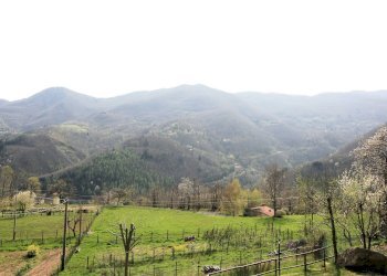 Foto 7 - Villa Abetone Cutigliano - foto 7