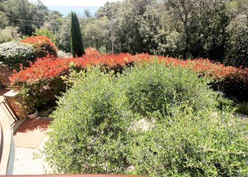 Foto 9 - Villa Via Kaiser Parodi, Livorno - foto 9