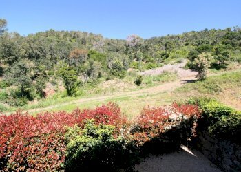 Foto 26 - Villa Via Kaiser Parodi, Livorno - foto 26