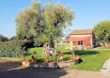 Foto 6 - Rustic Altopascio - photo 6