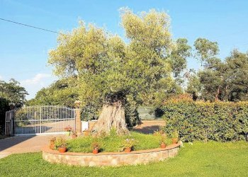 Foto 9 - Rustic Altopascio - photo 9