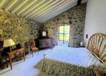 Foto 21 - Rustico Roccastrada - foto 21