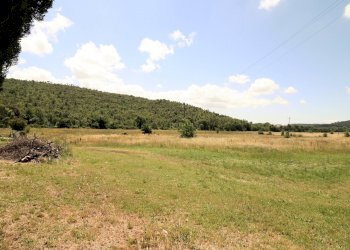 Foto 15 - Rustico Monteverdi Marittimo - foto 15