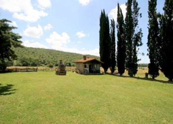 Foto 17 - Rustico Monteverdi Marittimo - foto 17