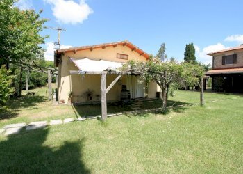 Foto 14 - Rustico Monteverdi Marittimo - foto 14