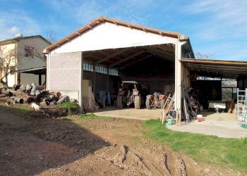 Foto 22 - Rustico Monteverdi Marittimo - foto 22