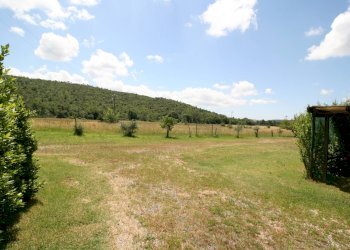 Foto 23 - Rustico Monteverdi Marittimo - foto 23