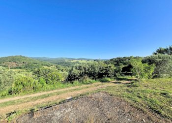 Foto 4 - Rustico Monterotondo Marittimo - foto 4