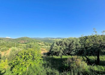 Foto 9 - Rustico Monterotondo Marittimo - foto 9