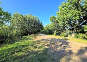 Foto 11 - Rustico Monterotondo Marittimo - foto 11