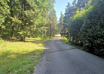 Foto 6 - Villa Bagnolo, Montemurlo - foto 6