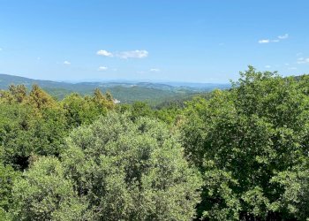 Foto 4 - Rustico Pomarance - foto 4