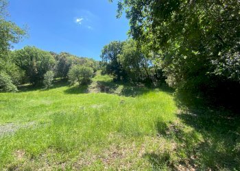 Foto 6 - Rustico Pomarance - foto 6