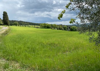 Foto 10 - Rustico Pomarance - foto 10