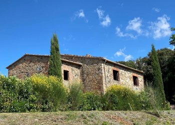 Foto 11 - Rustico Pomarance - foto 11