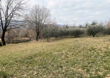 Foto 9 - Rustico Castelnuovo di Val di Cecina - foto 9