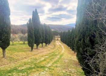 Foto 11 - Rustico Castelnuovo di Val di Cecina - foto 11