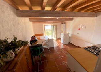 Foto 23 - Rustico Castelnuovo di Val di Cecina - foto 23