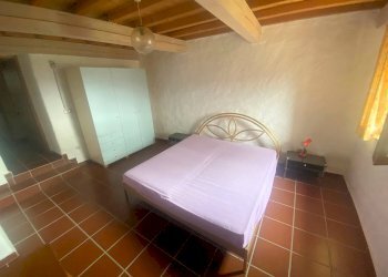 Foto 25 - Rustico Castelnuovo di Val di Cecina - foto 25