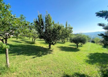 Foto 7 - Rustico Castelnuovo di Val di Cecina - foto 7