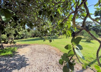 Foto 9 - Rustico Castelnuovo di Val di Cecina - foto 9