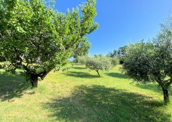 Foto 13 - Rustico Castelnuovo di Val di Cecina - foto 13