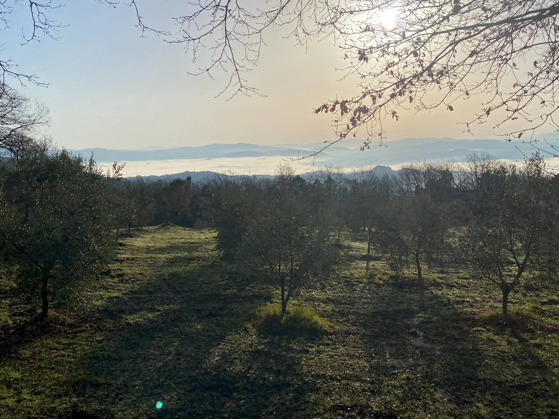 Foto 3 - Rustico Via Roma, Castelnuovo di Val di Cecina - foto 3