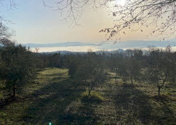 Foto 3 - Rustico Castelnuovo di Val di Cecina - foto 3