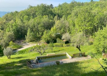 Foto 5 - Rustico Castelnuovo di Val di Cecina - foto 5